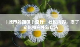 「城市躲猫猫」流行：社区内容，搭子文化和户外新玩法