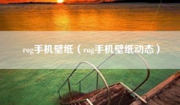 rog手机壁纸（rog手机壁纸动态）
