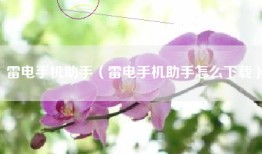 雷电手机助手（雷电手机助手怎么下载）