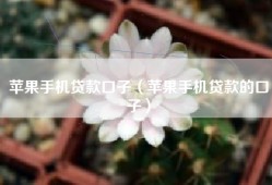 苹果手机贷款口子（苹果手机贷款的口子）