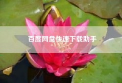 百度网盘快速下载助手