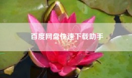 百度网盘快速下载助手