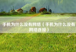 手机为什么没有网络（手机为什么没有网络连接）