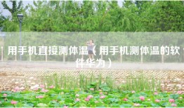 用手机直接测体温（用手机测体温的软件华为）