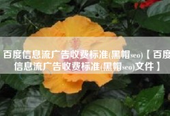 百度信息流广告收费标准(黑帽seo)【百度信息流广告收费标准(黑帽seo)文件】