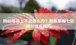 网站排名上不去怎么办？熟练掌握七招网站排名技巧