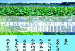 聚焦雄安新区｜23个创新项目团队雄安新区集中路演