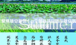 聚焦雄安新区｜23个创新项目团队雄安新区集中路演