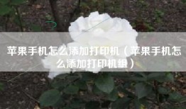 苹果手机怎么添加打印机（苹果手机怎么添加打印机组）