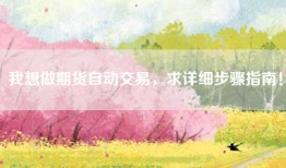 我想做期货自动交易，求详细步骤指南！