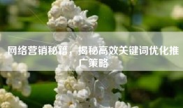 网络营销秘籍，揭秘高效关键词优化推广策略