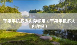 苹果手机多少内存够用（苹果手机多大内存够）