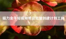 磁力金牛短视频带货批量创建计划工具