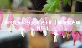 催眠麦克风台服催眠手机「催眠麦克风台服」