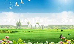 其实你可以不用「百度」一下，还有这些搜索引擎