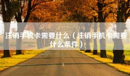 注销手机卡需要什么（注销手机卡需要什么条件）