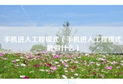 手机进入工程模式（手机进入工程模式能做什么）