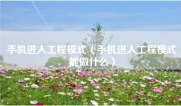 手机进入工程模式（手机进入工程模式能做什么）