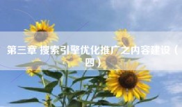 第三章 搜索引擎优化推广之内容建设（四）