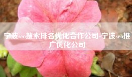 宁波seo搜索排名优化合作公司-宁波seo推广优化公司