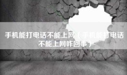 手机能打电话不能上网（手机能打电话不能上网咋回事）