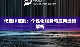 代理IP定制：个性化服务与应用场景解析