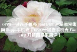 OPPO一键连手机壳 Find UWB 开箱图赏集简评oppo手机壳「OPPO一键连手机壳 Find UWB 开箱图赏集简评」