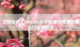 艾媒报告｜2019-2020年中国移动搜索市场运行监测报告
