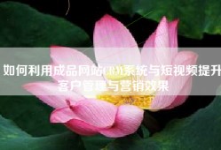 如何利用成品网站CRM系统与短视频提升客户管理与营销效果