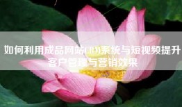 如何利用成品网站CRM系统与短视频提升客户管理与营销效果