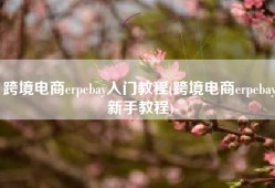 跨境电商erpebay入门教程(跨境电商erpebay新手教程)