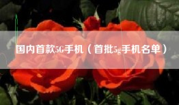 国内首款5G手机（首批5g手机名单）