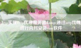 Java实现Http代理服务器&通过http代理进行内网安装yum软件