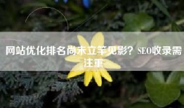 网站优化排名尚未立竿见影？SEO收录需注重