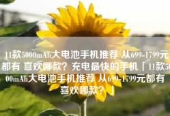 11款5000mAh大电池手机推荐 从699-1799元都有 喜欢哪款？充电最快的手机「11款5000mAh大电池手机推荐 从699-1799元都有 喜欢哪款？」