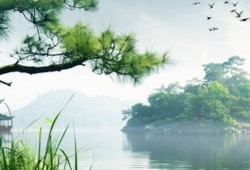 科技一周大事（11 月 11 日-17 日）：华为 Mate 70 发布会 11 月 26 日举行；明年起全体公民假日增加 2 天；我国新能源汽车首破年度 1000 万辆...