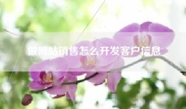 做网站销售怎么开发客户信息