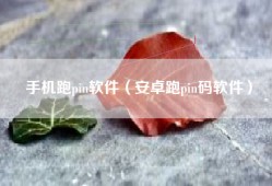 手机跑pin软件（安卓跑pin码软件）