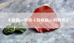 手机跑pin软件（安卓跑pin码软件）