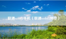 联通wcdma手机（联通wcdma频率）