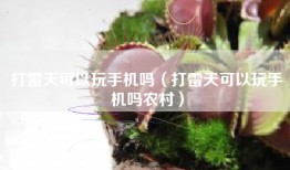 打雷天可以玩手机吗（打雷天可以玩手机吗农村）