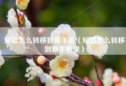 短信怎么转移到新手机（短信怎么转移到新手机里）