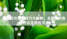 网站优化排名技巧大揭秘，全面解析各种方法及图片大全