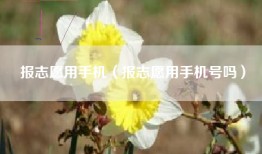 报志愿用手机（报志愿用手机号吗）