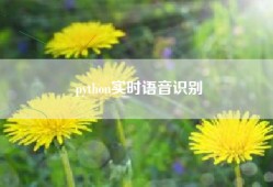 python实时语音识别