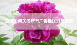 百度如何关闭所有广告推送消息提醒