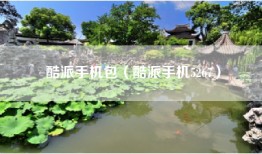 酷派手机包（酷派手机5267）