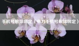 手机号解除绑定（电力手机号解除绑定）