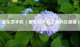 盖乐世手机（盖乐世手机二维码在哪里）