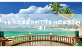 手机白苹果怎么办（手机白苹果怎么回事）